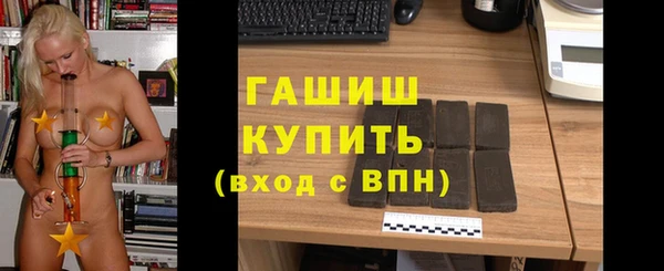 стаф Каменка