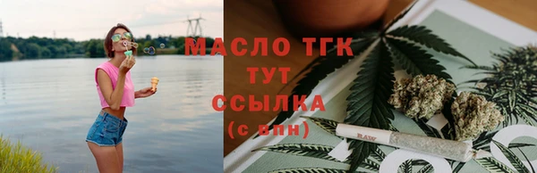 стаф Каменка
