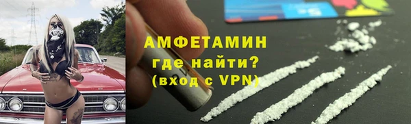 стаф Каменка