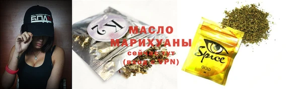 стаф Каменка
