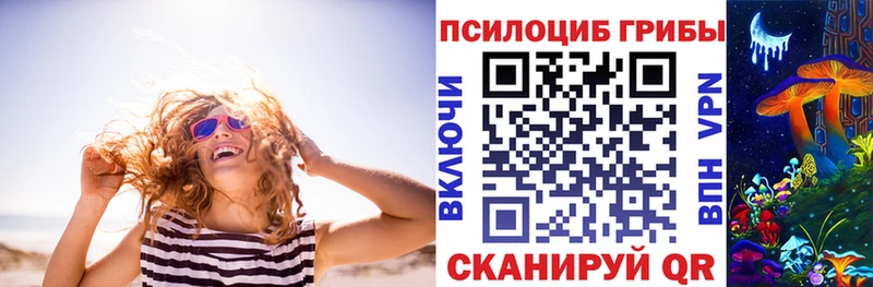 площадка какой сайт  Кедровый  Псилоцибиновые грибы GOLDEN TEACHER 